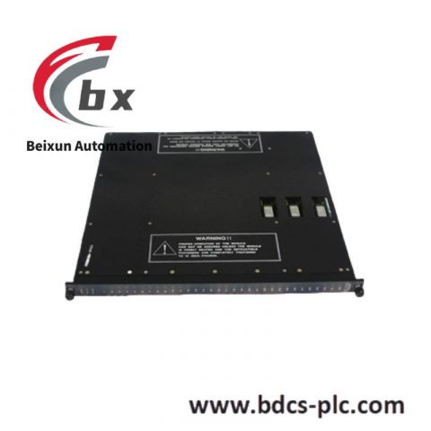 TRICONEX 810-048219-015 Control Module