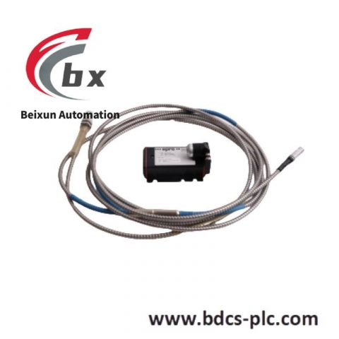 Emerson RXi2 - BP Industrial PC: AMD R1505G, 8GB RAM, 512GB SSD, Win 10