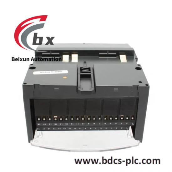 ge_fanuc_ic200chs002-1.jpg GE IC693ACC-317 High-Performance Analog Input Module