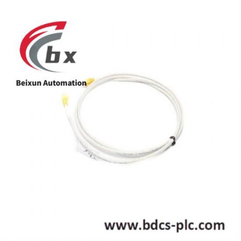 GE IS200XXXXX High Performance Industrial Module