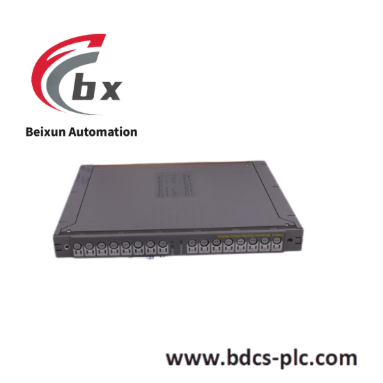 trusted_tc000_power_cables_ics_triplex.png ICS TRIPLEX T8432 Advanced Dual Analogue Input Module for Industrial Automation