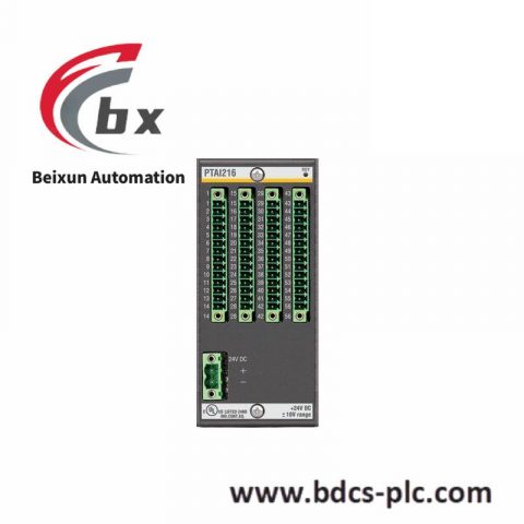 Bachmann PTAI216 Temperature Input Module, High Precision Industrial Control Solution