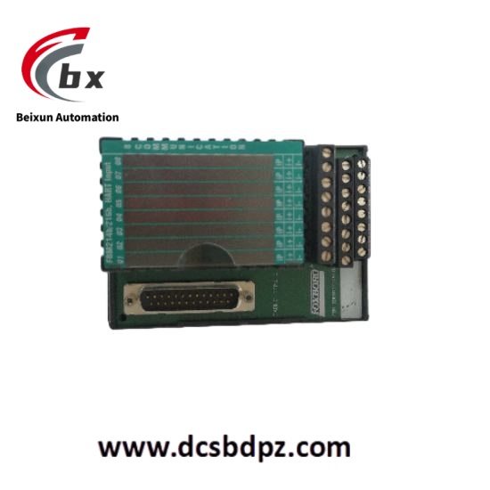 FOXBORO P0924JH (1)_pixian_ai