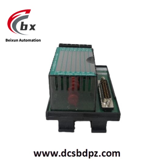 FOXBORO P0924JH (2)_pixian_ai