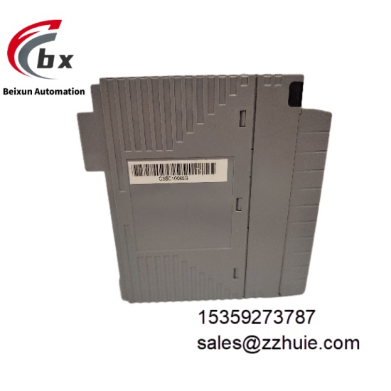 YOKOGAWA AAI141-H50 S2 (2)