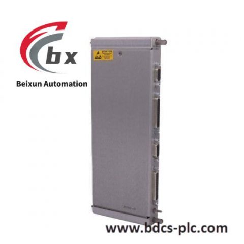 Bently Nevada 125760-01 PLC Data Manager I/O Module