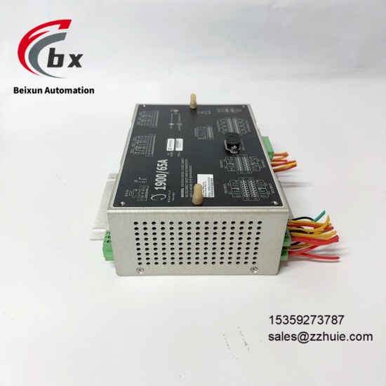 Bently Nevada 190065A-00-00-02-00-01 (3)