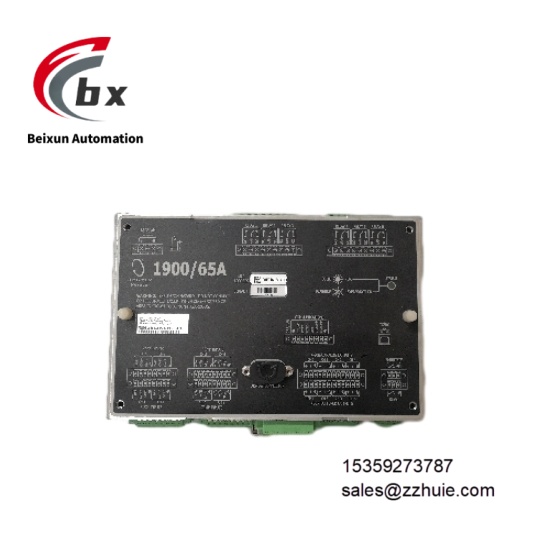 Bently Nevada 190065A-00-04-01-00-00 (2)