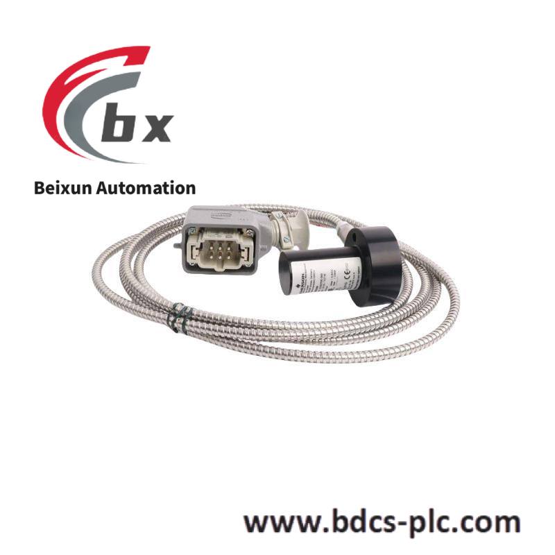 emerson_ce4001s2t2b4_3.jpg EMERSON CE4001S2T2B4 Advanced Control Module